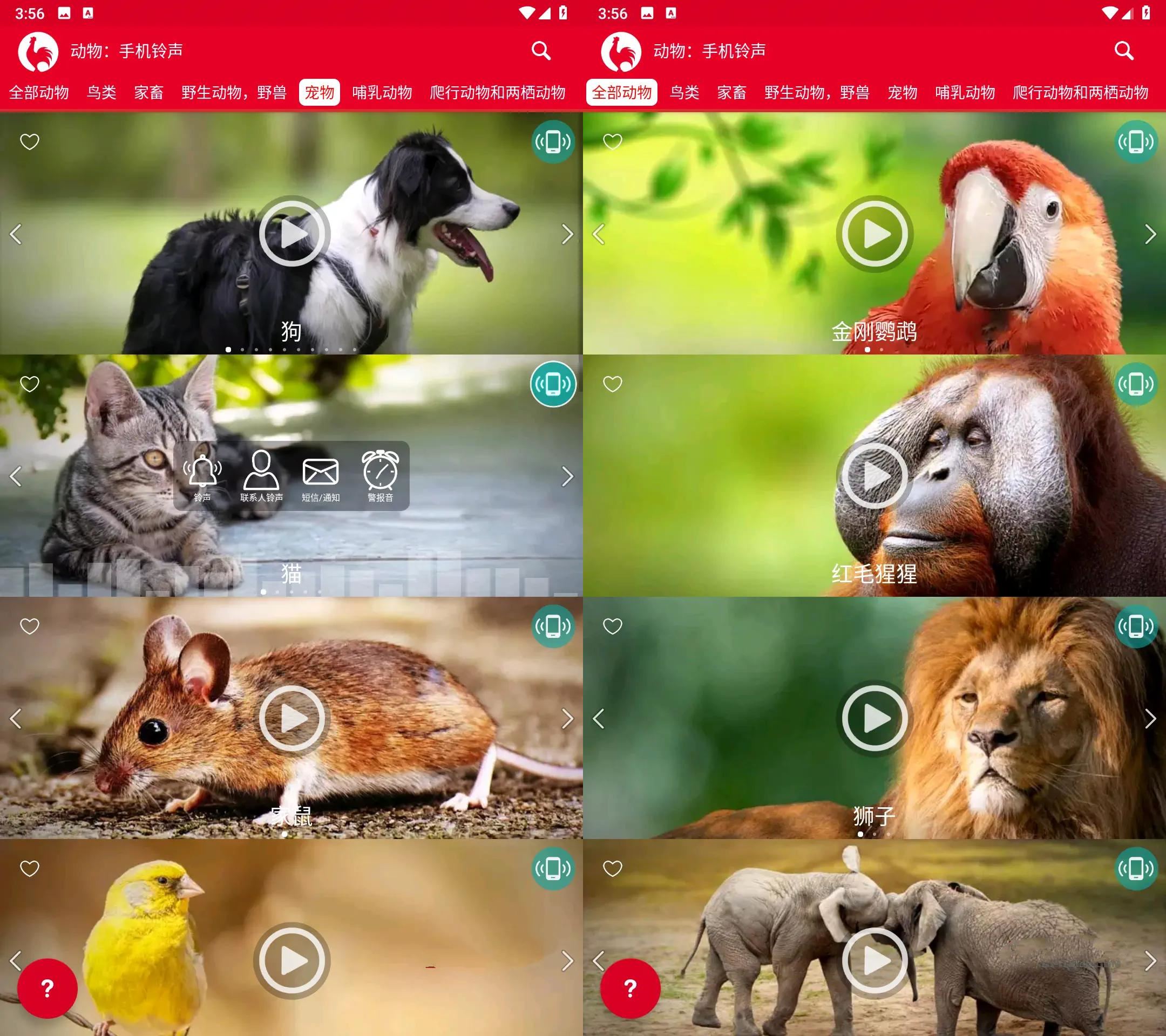 动物手机铃声v18.0高级版/享受大自然  第1张