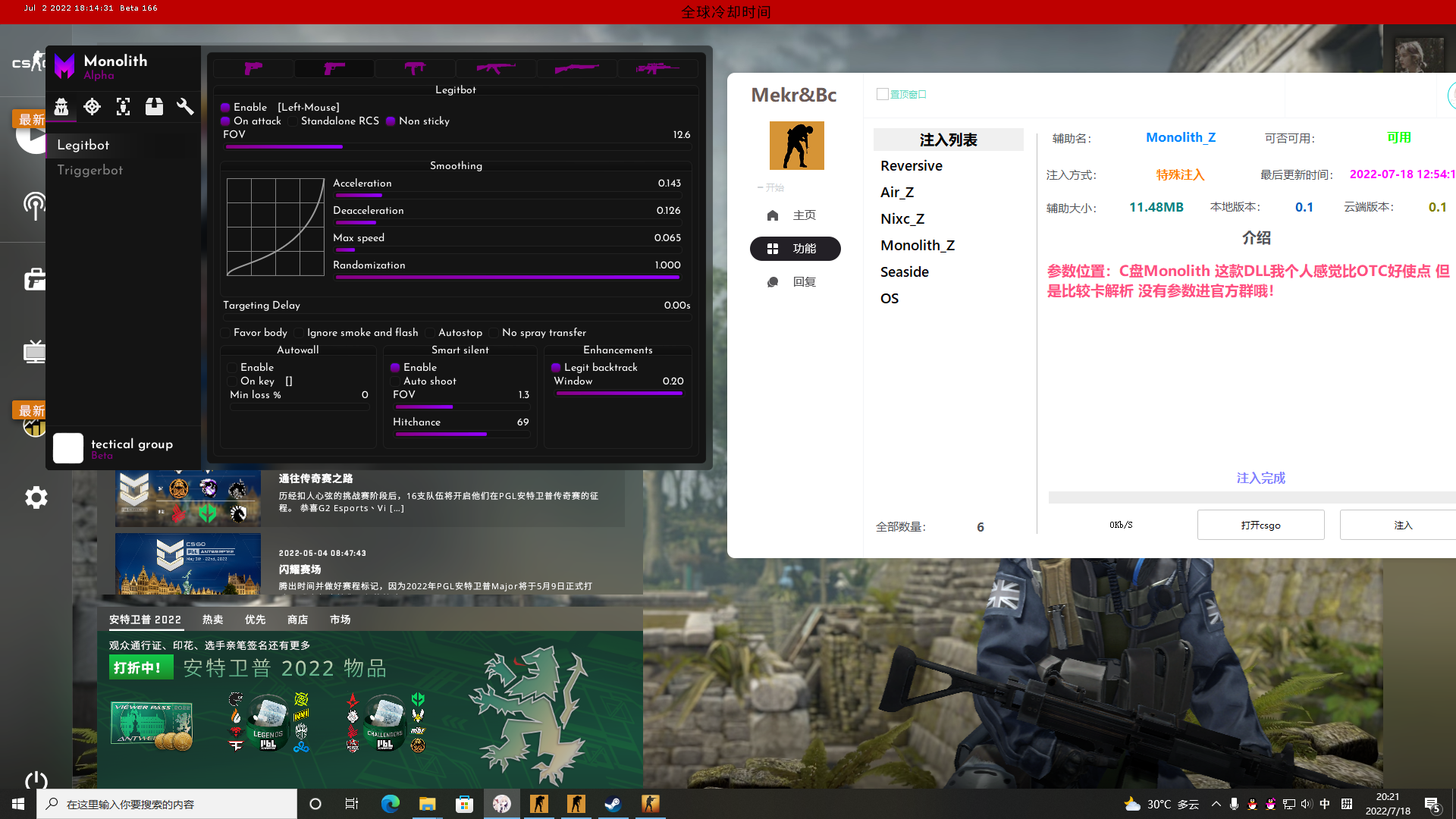 CSGO雀哥哥老牌子最新注入器