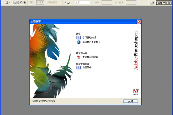 AdobePhotoshopCS6，PS完美绿色破解版