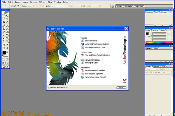 Adobe Photoshop CS3 绿色极度精简版v10.0  第1张