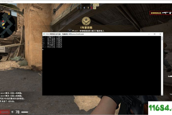 CSGO 方框显敌辅助