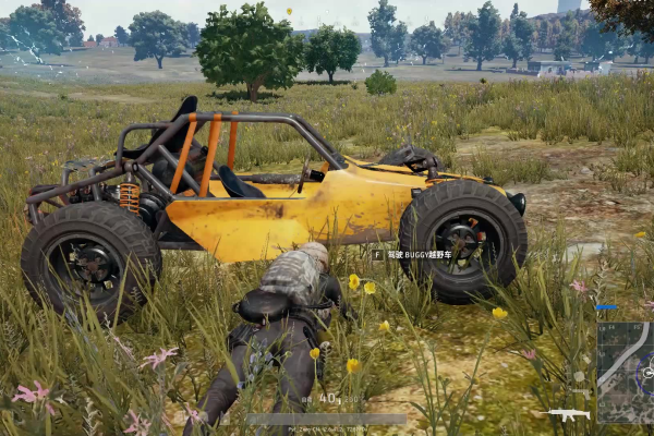 绝地求生_PUBG小黄人除草无后天气辅助