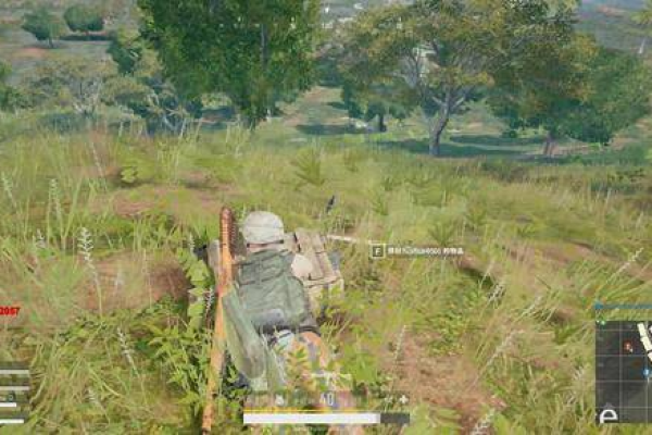 PUBG亲测稳如老狗除草工具+教程9.30可用