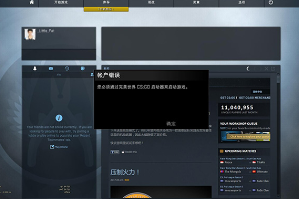 CSGO永恒会员版试用接口