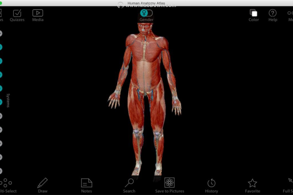 人体解剖神器电脑端Human Anatomy AtlasV7.4.01