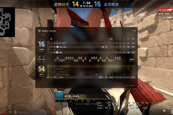 CSGO 12.13 官匹单板显敌显血低调演技