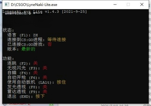 CSGO透瞄雷达免费版辅助_LyneNaki V11.14