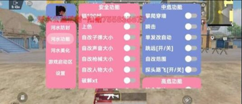 PUBG沐海国际服上色瞬击路飞辅助器