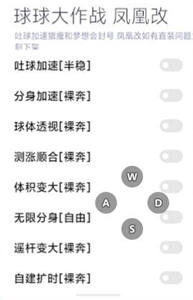 球球大作战天晴安卓端分身加速直装辅助V8.18
