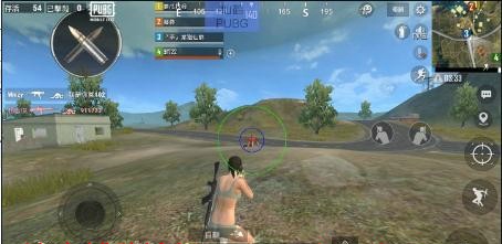 PUBGM手游仙鹤辅助-国际服轻体多功能锁敌 Ver8.11