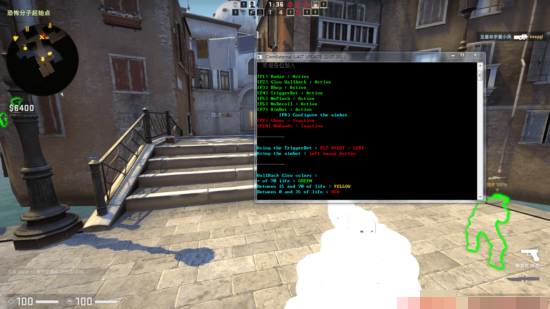 CSGO端游ClemExternal辅助,人物发光/上色显敌/雷达显示