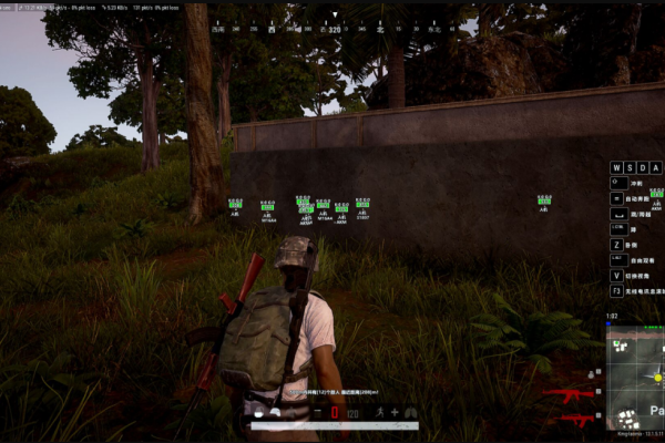 PUBG轻体·单人ESP绘制锁敌辅助 v2.0