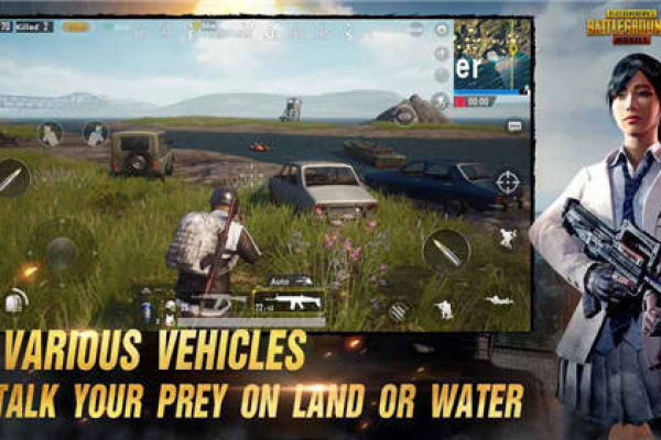 PUBG国际服·良良公益直装多功能免费辅助 v1.2  第1张