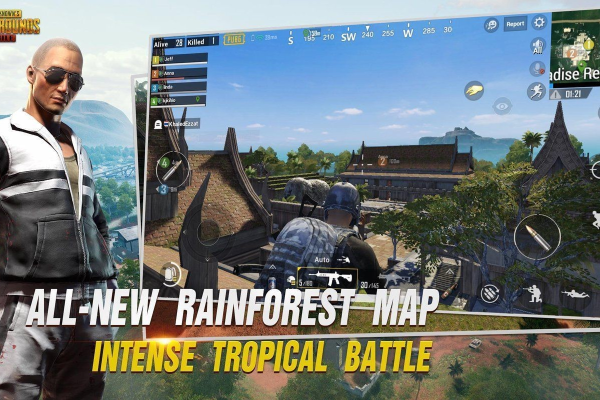 PUBG国际服·轮回直装绘制锁敌破解版 v3.17  第1张