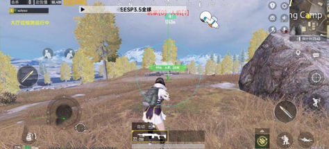 PUBG皮特辅助-PUBG手游全球服全防皮特直装助手