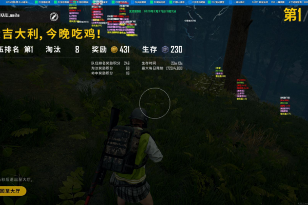 绝地求生阿宇辅助-PUBG端游稳定全功能吃鸡插件