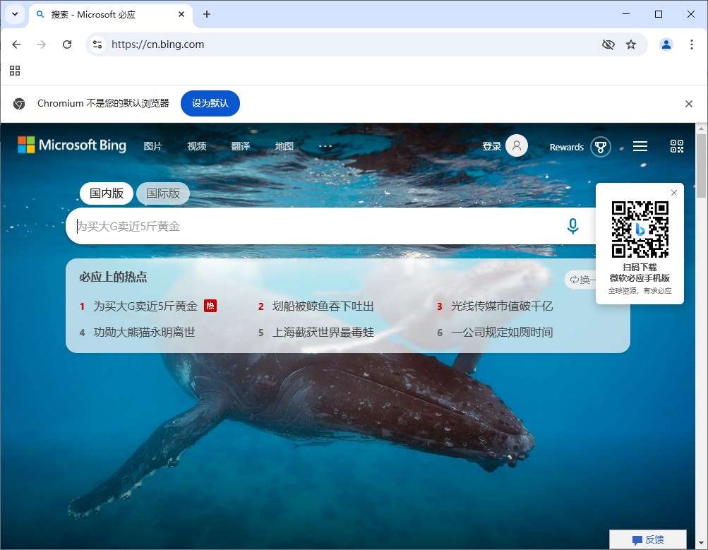 Ungoogled-Chromium v133.0.6943.98-1.1 中文绿色版  第1张